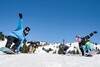 Blue Tomato Snowboard